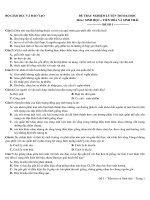 tổng hợp hệ sinh thái