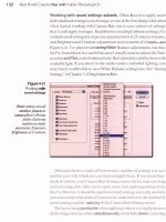 Real World Camera Raw with Adobe Photoshop CS- P6 pptx