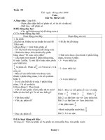 Giáo án Toán 4: Tuần 20