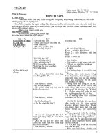 GA L4 TUAN 29 CKTKN(3 COT)