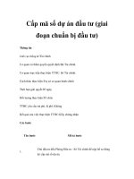 Cấp mã số dự án đầu tư (giai đoạn chuẩn bị đầu tư) pot