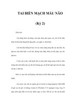 TAI BIẾN MẠCH MÁU NÃO (Kỳ 2) docx