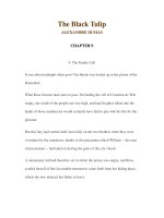 LUYỆN ĐỌC TIẾNG ANH QUA CÁC TÁC PHẨM VĂN HỌC –The Black Tulip ALEXANDRE DUMAS CHAPTER 9 9. The Family Cell It was about midnight when poor Van pot