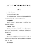 ĐẠI CƯƠNG ĐÁI THÁO ĐƯỜNG (Kỳ 4) pot