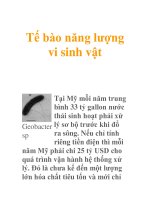 Tế bào năng lượng vi sinh vật pdf