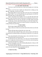 SKKN HD HS lam thi nghiem trong day hoc vat li 6.doc