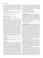 The Oxford Companion to Philosophy Part 15 pot