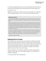 Adobe Photoshop 6.0- P6 ppsx