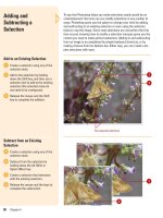 Photoshop cs5 by steve Johnson part 15 pps