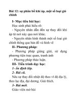 Địa lý lớp 10 Bài 12 potx