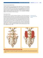 Spinal Disorders: Fundamentals of Diagnosis and Treatment Part 58 potx