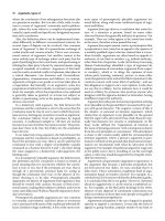 The Oxford Companion to Philosophy Part 8 pot