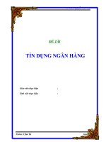 ĐỀ TÀI : Tín dụng ngân hàng pptx