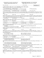 de thi thu truong THPT Phan dang luu nghe an lan 1 nam 2010