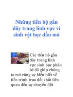 Những tiến bộ gần đây trong lĩnh vực vi sinh vật học dầu mỏ ppsx