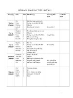 giao an l4 tu tuan 1-20(cktkn+bvmt) tran van luong