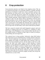 Fruit growing in the tropics - Part 8 pptx