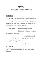 TẬP ĐỌC NGƯỜI GÁC RỪNG TÍ HON ppt