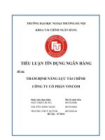 THẨM ĐỊNH NĂNG LỰC TÀI CHÍNH  CÔNG TY CỔ PHẦN VINCOM