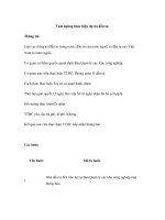 Tạm ngừng thực hiện dự án đầu tư. pptx