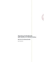 công ty cổ phần bảo hiểm ngân hàng đầu tư và phát triển việt nam bic báo cáo tài chính hợp nhất quý iii 2013