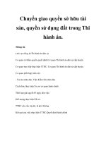 Chuyển giao quyền sở hữu tài sản, quyền sử dụng đất trong Thi hành án. doc