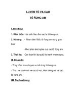 Luyện từ và câu Từ đồng âm pot