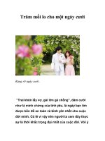 Trăm mối lo cho một ngày cưới ppt