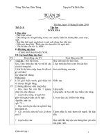 GIÁO ÁN LỚP 1 TUẦN 28 CKTKN 2 BUỔI ĐÀO