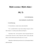 Bệnh eczema ( Bệnh chàm ) (Kỳ 2) doc