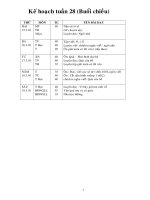 KHTuan28(Buoi chieu)- CKTKN