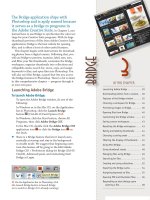 Sử dụng photoshop cs5 part 5 docx