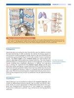 Spinal Disorders: Fundamentals of Diagnosis and Treatment Part 103 ppt