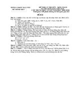 de giao  vien gioi cap huyen