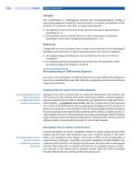 Spinal Disorders: Fundamentals of Diagnosis and Treatment Part 36 pps