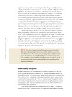 Photoshop cs5 cho nhiếp ảnh gia part 3 pot