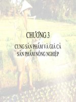 Bài giảng KINH TẾ NÔNG NGHIỆP - Chương 3 pdf