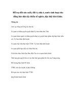 Hỗ trợ đất sản xuất, đất ở, nhà ở, nước sinh hoạt cho đồng bào dân tộc thiểu số nghèo, đặc biệt khó khăn pptx