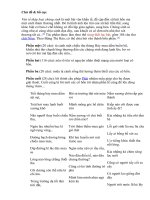 tác giả nguyễn du