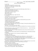 giao an my thuat hay cktkn