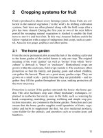 Fruit growing in the tropics - Part 2 ppsx