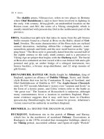 The A to Z of the Vikings 9 potx