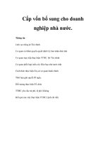 Cấp vốn bổ sung cho doanh nghiệp nhà nước. pot