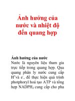 Ảnh hưởng của nước và nhiệt độ đến quang hợp ppsx