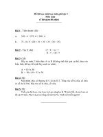 Đề thi HSG lớp 3 ( đề 2)