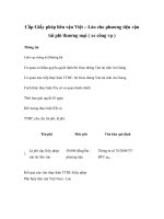 Cấp Giấy phép liên vận Việt – Lào cho phương tiện vận tải phi thương mại ( xe công vụ ) pps