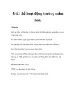 Giải thể hoạt động trường mầm non. pdf