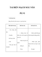 TAI BIẾN MẠCH MÁU NÃO (Kỳ 4) ppsx