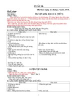 Lớp 5 Tuần 28 CKTKN ( Vân QT )