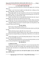 SKKN su dung do dung trong day vat li 8.doc